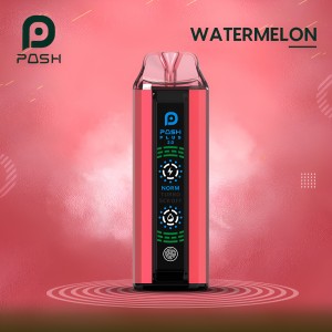 Posh Plus 2.0 5% Nic 20,000 Puffs Disposable Vape - 5ct Display*