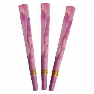 Rose Palm Lotus Cones King Size 3pk - 15ct Display